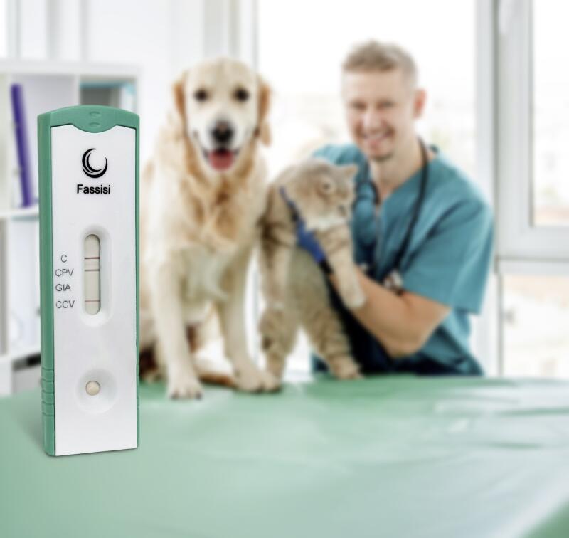 Triple HundKatze+Kassette 395616574