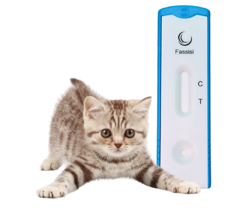 FeLV