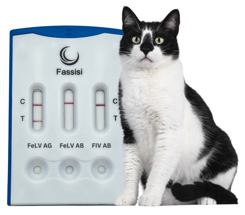 Feline Triple