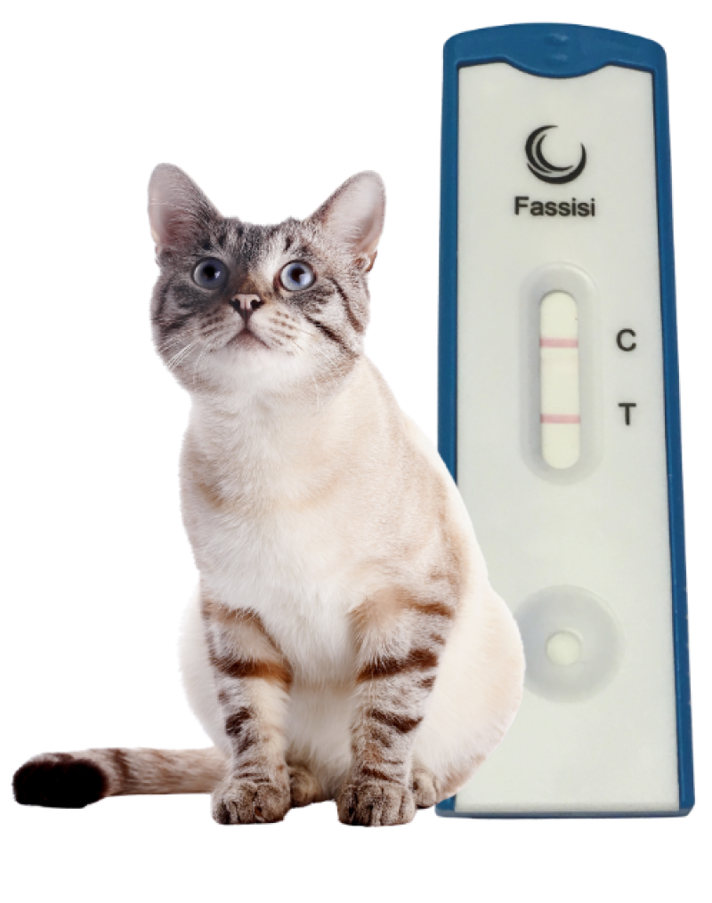 Feline ParvoCheck 2 sprachig